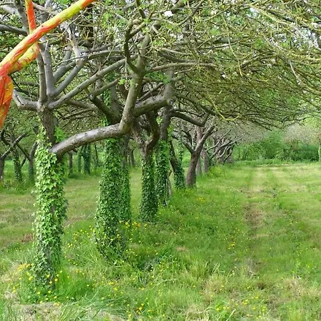 Ecologite La Riviere بيت للعطل Eance