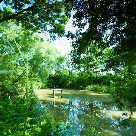Ecologite La Riviere Holiday home *
